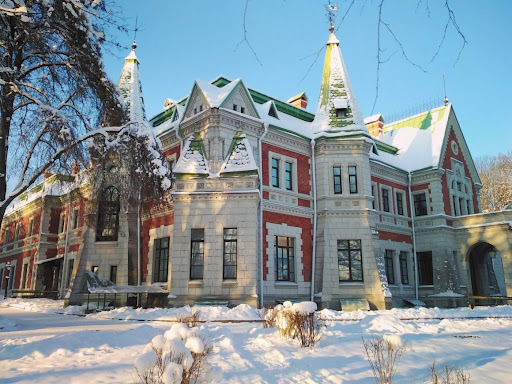 Но­во­год­ние Минск, двор­цы, зам­ки, 4 дня - Изображение 0