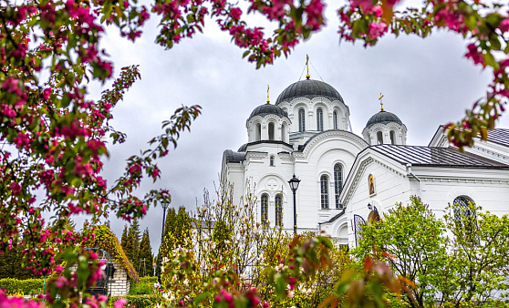 Полоцк-Витебск - Изображение 0