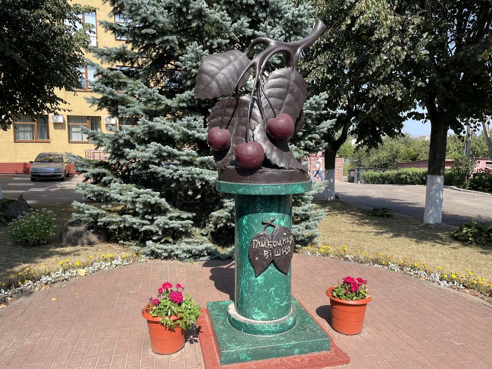 вишня.jpg
