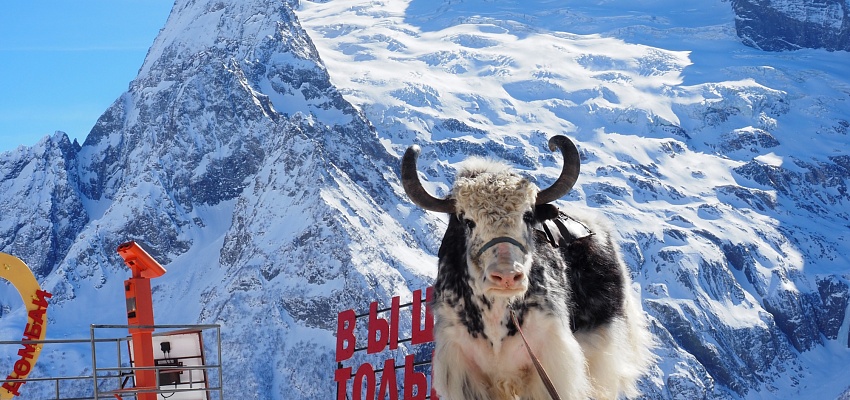 Зимние приключения в Домбае - Изображение 0