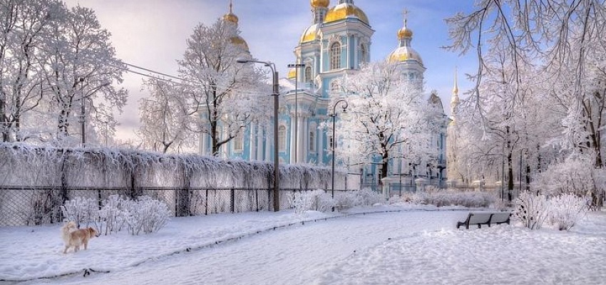 Недельный новогодний тур в Санкт-Петербург на поезде - Изображение 0