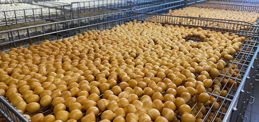 Туровские басни о сыре (для организованных групп) - Изображение 0