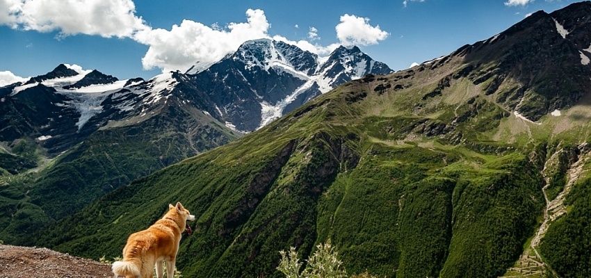 По горам Кавказа (для организованных групп) - Изображение 0