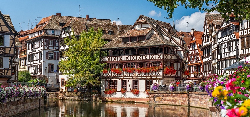 Цветочные горизонты: Франция и Голландия ( парк цветов Кекенхоф) - Изображение 0