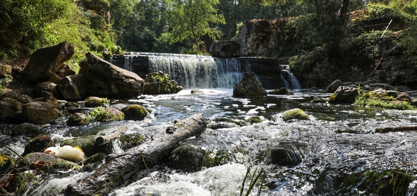 Тур в заказник Ельня и водопад на реке Вята - Изображение 0