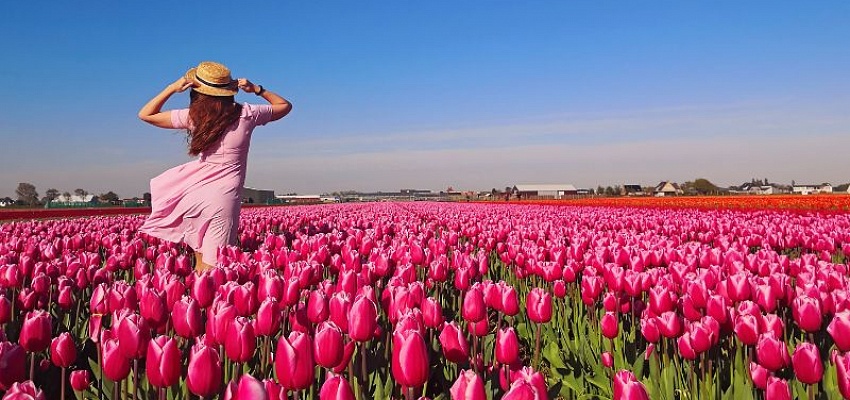 Фототур - Тюльпановая сказка в Беларуси (для организованных групп)  - Изображение 0