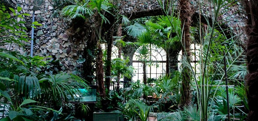 Гомельский прованс - Изображение 0