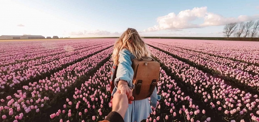 Фототур - Тюльпановая сказка в Беларуси (для организованных групп)  - Изображение 0