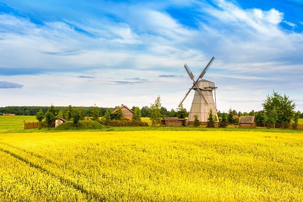 Экскурсия в Дудутки и обзорная по Минску