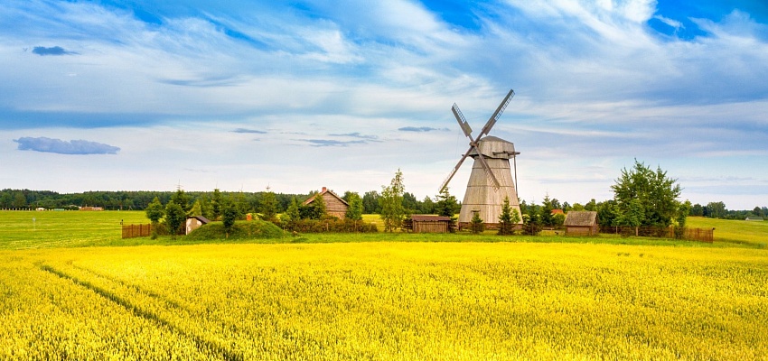 Экскурсия в Дудутки и обзорная по Минску - Изображение 0