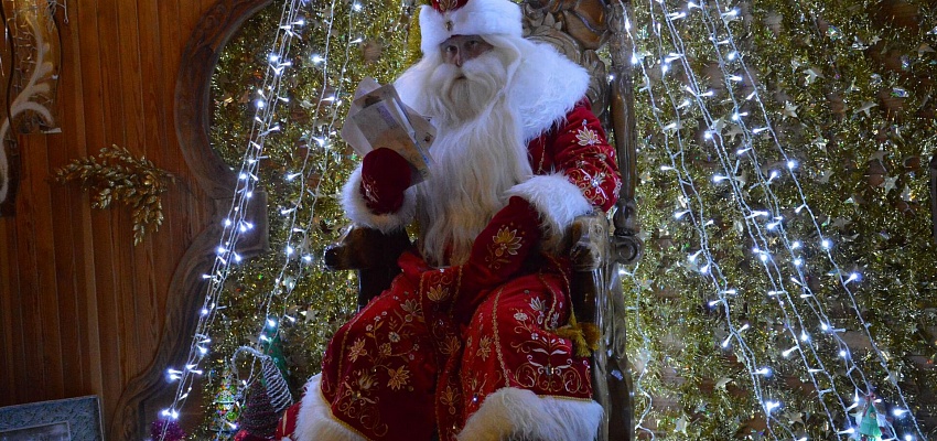 Новый год в Бресте с посещением Беловежской Пущи 2026 - Изображение 0