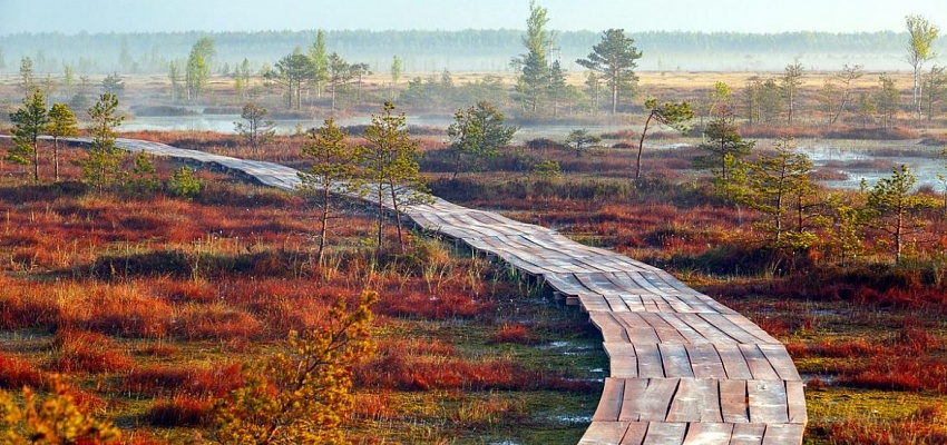 Тур в заказник Ельня и водопад на реке Вята - Изображение 0