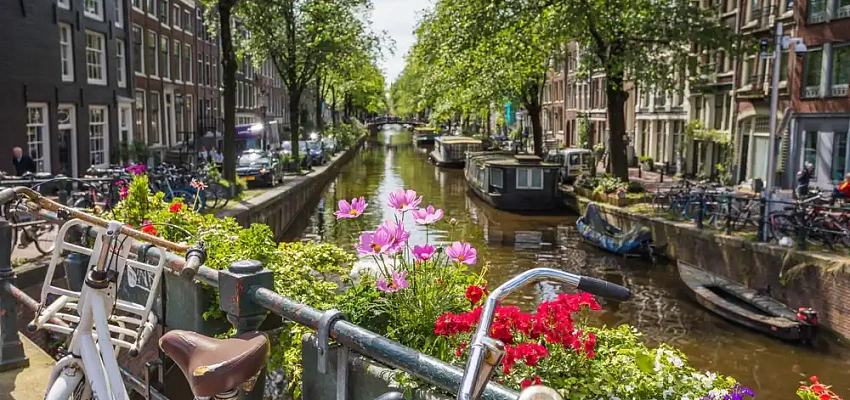 Цветочные горизонты: Франция и Голландия ( парк цветов Кекенхоф) - Изображение 0