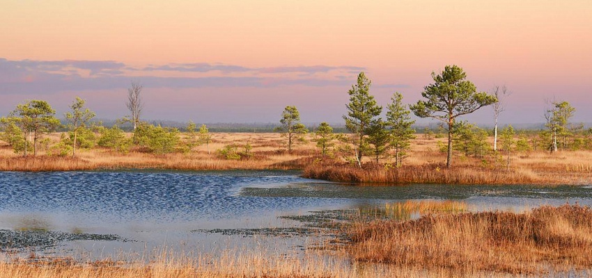 Тур в заказник Ельня и водопад на реке Вята - Изображение 0