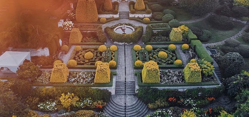 Французские мотивы: ландшафтный сад Ореховно и гастрономия - Изображение 0