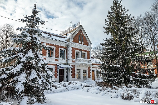 Новогодние Минск, дворцы, замки, 4 дня