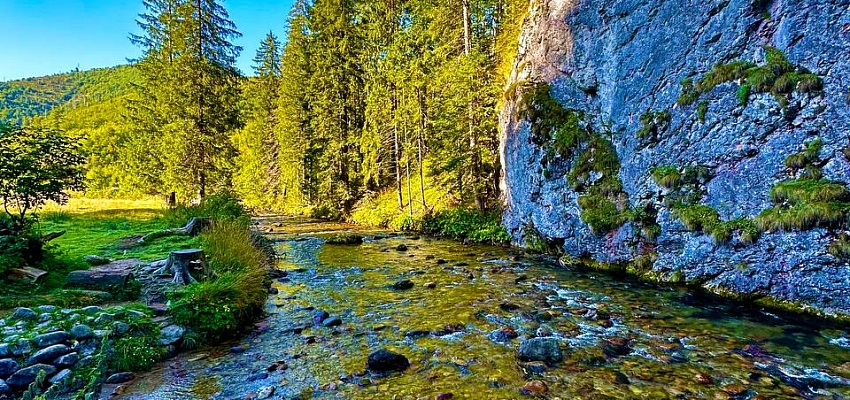 Неделька в татрах Польши ﻿и Словакии - Изображение 0