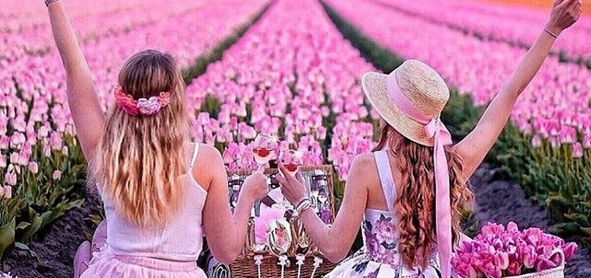 Фототур - Тюльпановая сказка в Беларуси (для организованных групп)  - Изображение 0