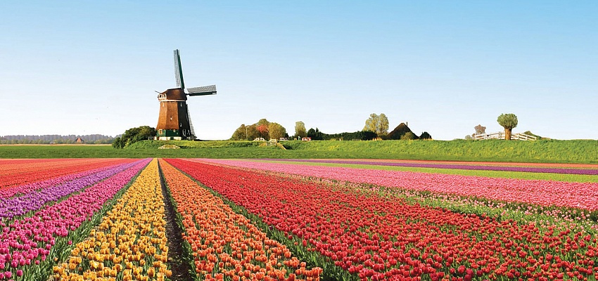 Тур в Кёкенхоф - Изображение 0