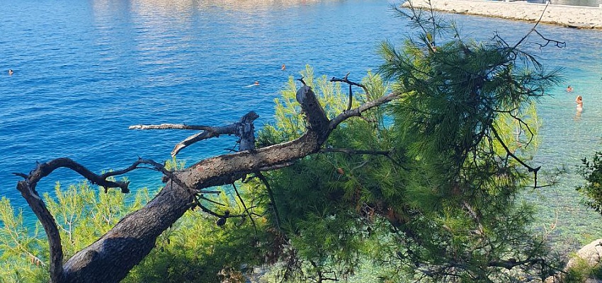 Отдых на море в Хорватии - Изображение 0