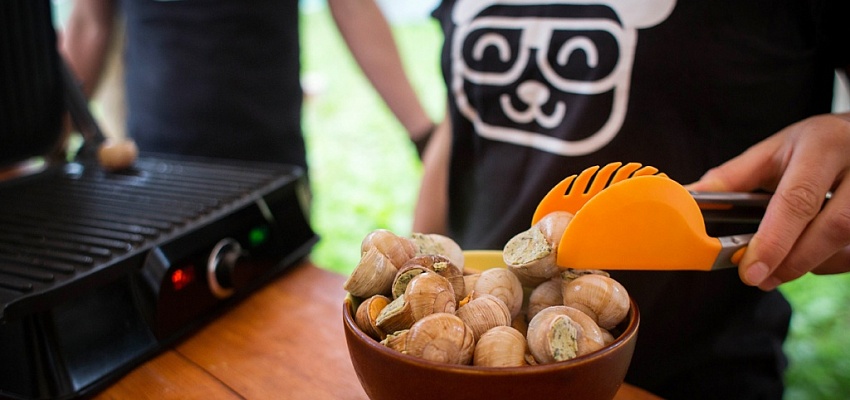 Жизнь замечательных улиток (для организованных групп)  - Изображение 0