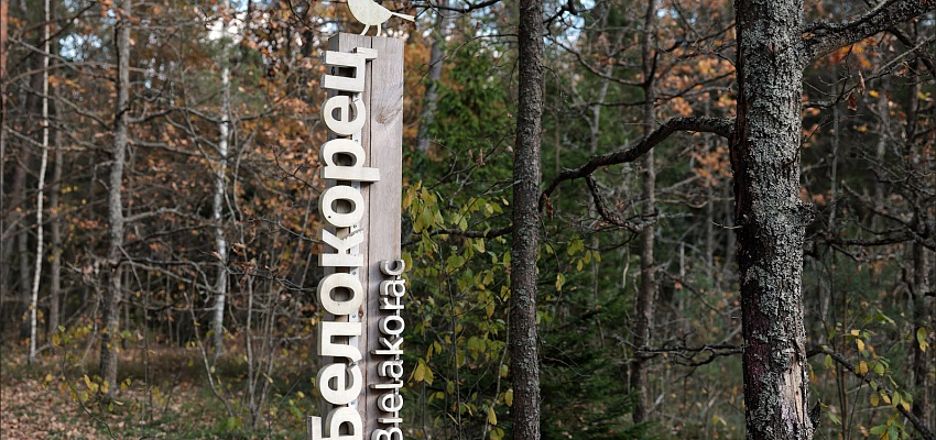 Воложинские гостинцы - Изображение 0