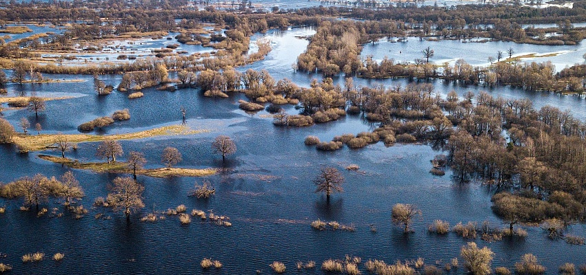 Сплав по разливам Припяти "Море Геродота" - Изображение 0