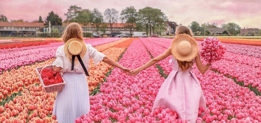 Фототур - Тюльпановая сказка в Беларуси  - Изображение 0