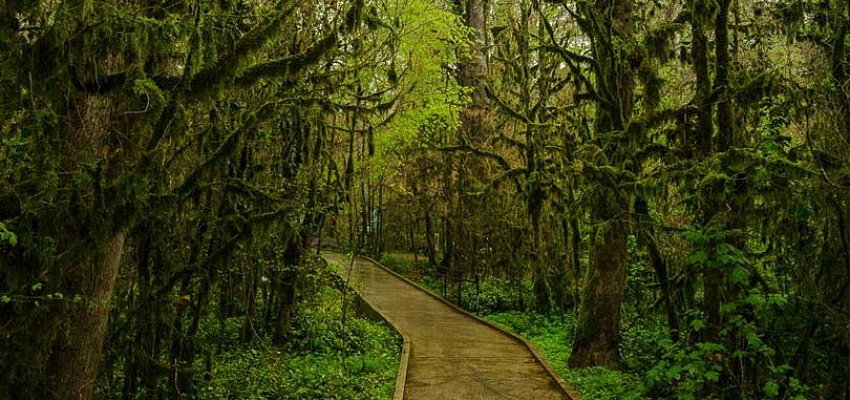 Грузия с отдыхом на море 2026 - Изображение 0