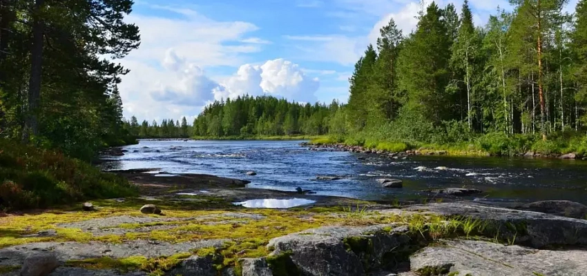 В гостях у северной столицы Карелии 2025 (для организованных групп) - Изображение 0