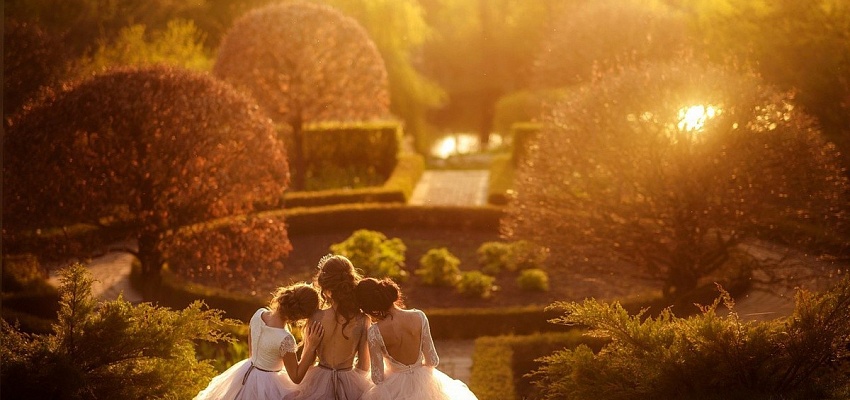 Французские мотивы: ландшафтный сад Ореховно и гастрономия - Изображение 0