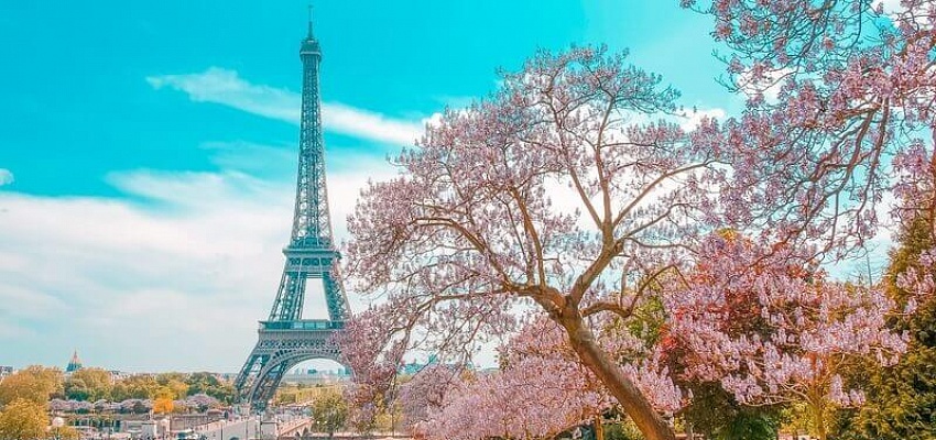 НЕДЕЛЬКА БЕЗ УРОКОВ - Изображение 0