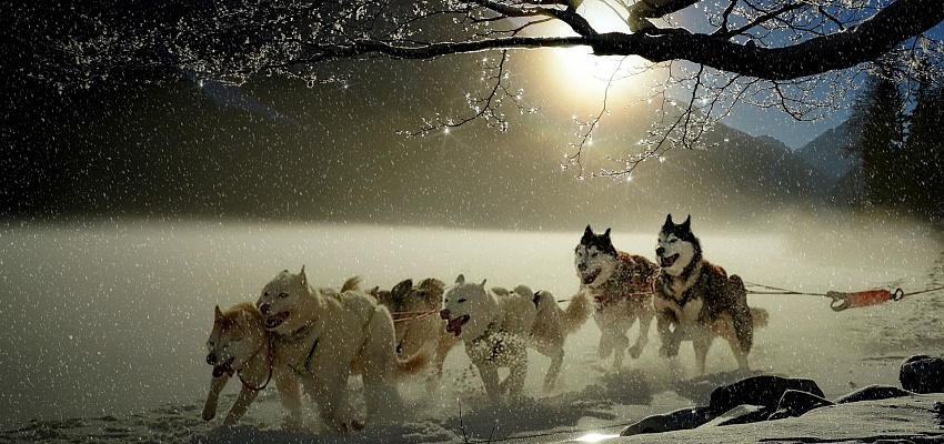 Выходные в Карелии - Изображение 0