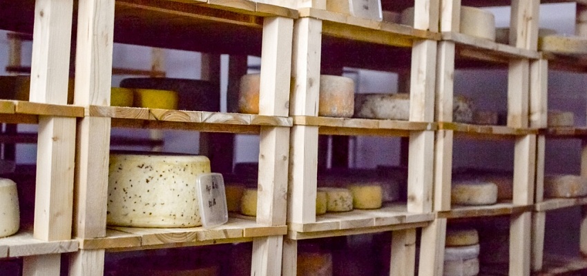 Гастрономический рай: сырная дегустация, пивоварня. Гольшаны-Крево. - Изображение 0