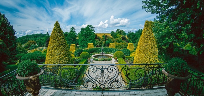 Французские мотивы: ландшафтный сад Ореховно и гастрономия - Изображение 0