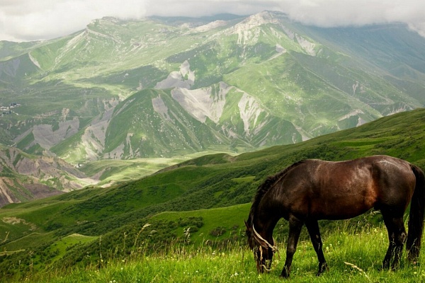 Экскурсионный тур в Дагестан (для организованных групп)