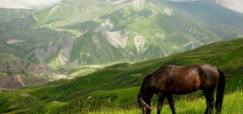 Экскурсионный тур в Дагестан (для организованных групп) - Изображение 0