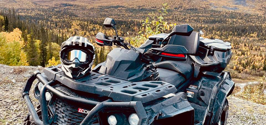 Тайны Арктики: приключения за северным полюсом - Изображение 0