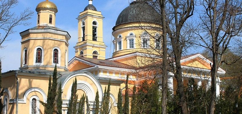 Гомельский прованс - Изображение 0