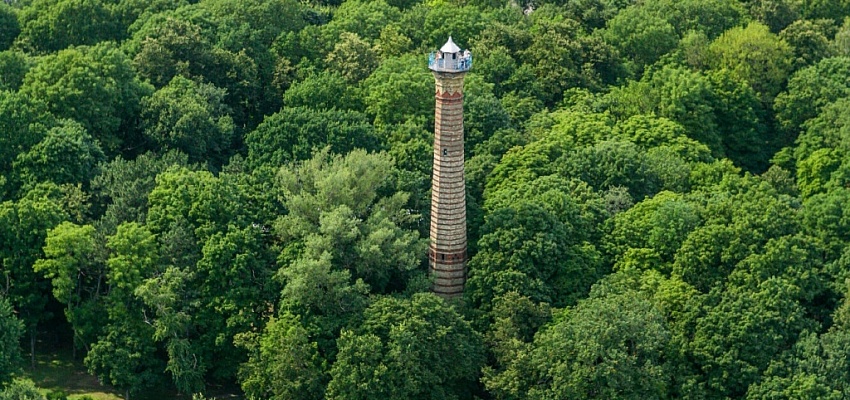 Гомельский прованс - Изображение 0