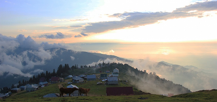 Грузия с отдыхом на море 2026 - Изображение 0