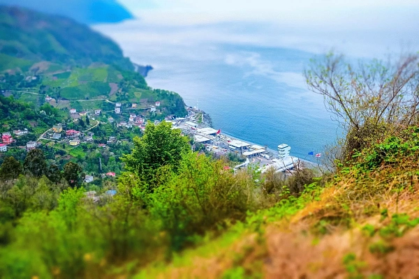 Автобусные туры 2026 в Грузию (ГОНИО)  