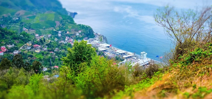 Автобусные туры 2026 в Грузию (ГОНИО)   - Изображение 0