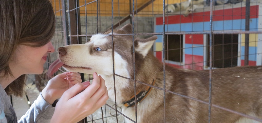 В гостях у северной столицы Карелии 2025 - Изображение 0