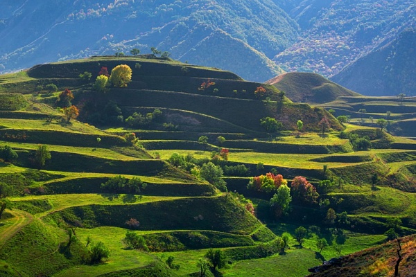 Авиатур в Дагестан из Минска