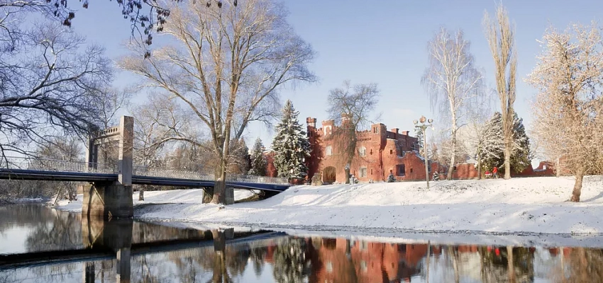 Новый год в Бресте с посещением Беловежской Пущи 2026 - Изображение 0