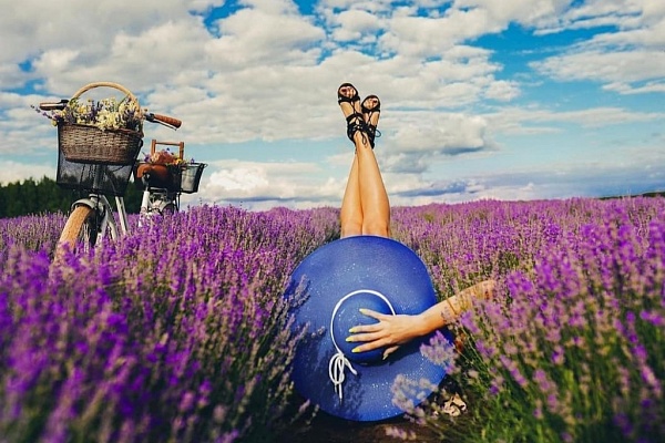 Гомельский прованс