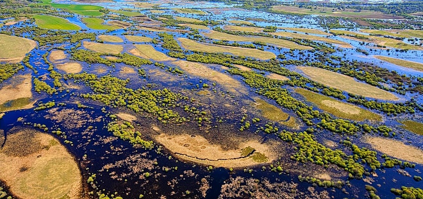 Сплав по разливам Припяти "Море Геродота" - Изображение 0