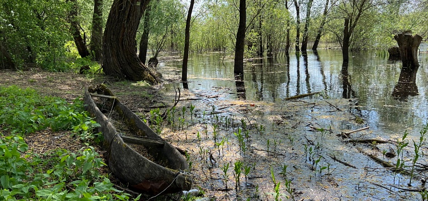 Море Геродота и Туров  - Изображение 0