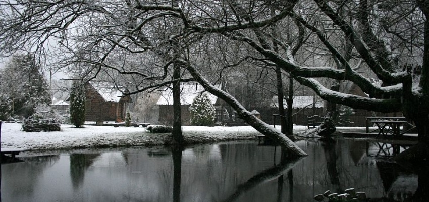 Новогоднее пу­те­ше­ствие в Минск, 3 дня - Изображение 0